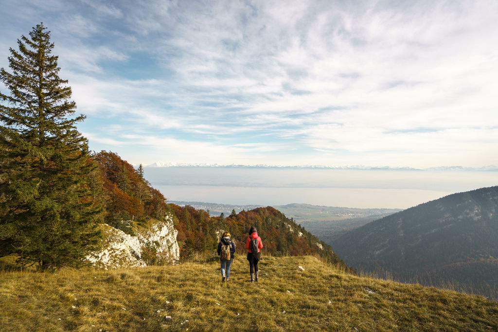 MySwitzerland_i's tweet image. #Autunnosvizzero: l’emozionante 9a tappa del Sentiero in cresta del Giura porta dalla Tête de Ran a Noiraigue e offre una vista mozzafiato sul Lago di Neuchâtel @Jura3Lacs. Un’esperienza da togliere il fiato!

myswitzerland.com/it-ch/scoprire…