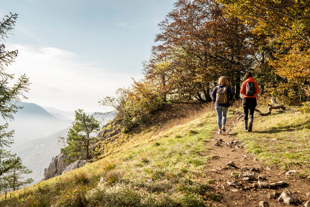 MySwitzerland_i's tweet image. #Autunnosvizzero: l’emozionante 9a tappa del Sentiero in cresta del Giura porta dalla Tête de Ran a Noiraigue e offre una vista mozzafiato sul Lago di Neuchâtel @Jura3Lacs. Un’esperienza da togliere il fiato!

myswitzerland.com/it-ch/scoprire…