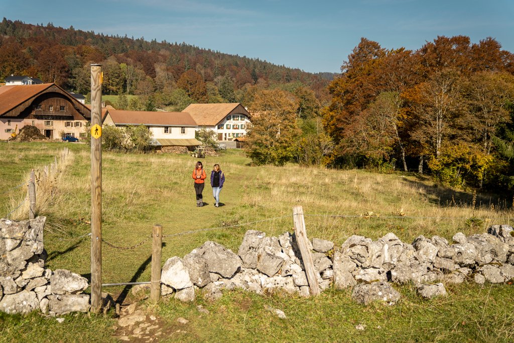MySwitzerland_i's tweet image. #Autunnosvizzero: l’emozionante 9a tappa del Sentiero in cresta del Giura porta dalla Tête de Ran a Noiraigue e offre una vista mozzafiato sul Lago di Neuchâtel @Jura3Lacs. Un’esperienza da togliere il fiato!

myswitzerland.com/it-ch/scoprire…