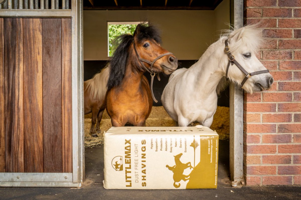 BedmaxShavings's tweet photo. Littlemax
A finer, lighter alternative to Bedmax, with all the same benefits to your horsesโ health and added advantages in speed and ease of stable management.
Find out where to buy:
https://t.co/88GmYjReMH
#littlemax #equinehealth #horse https://t.co/mqwXyRGrX1