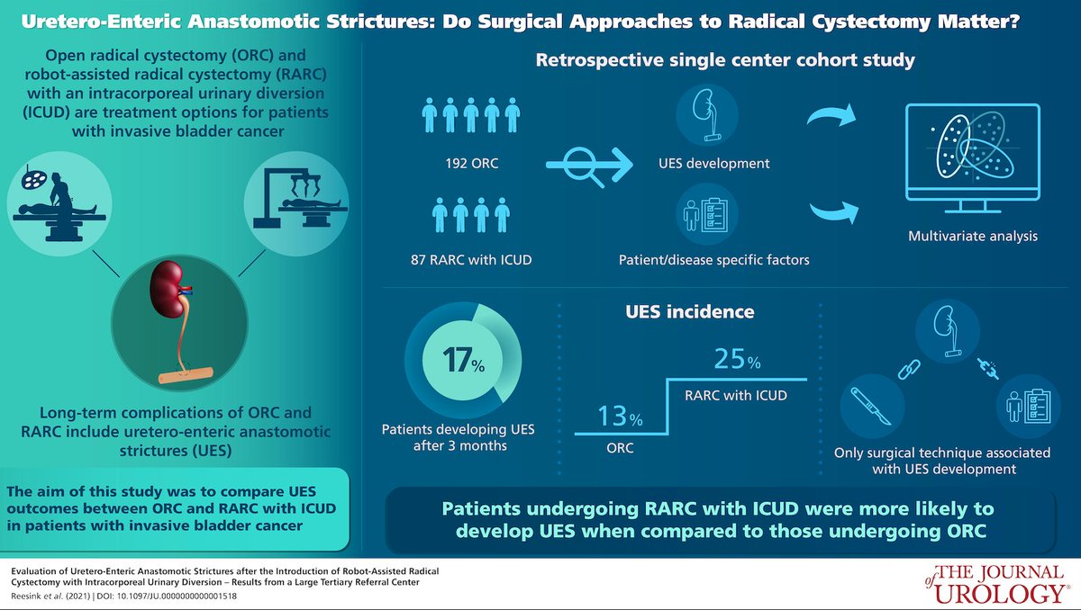 Journal of Urology tweet media