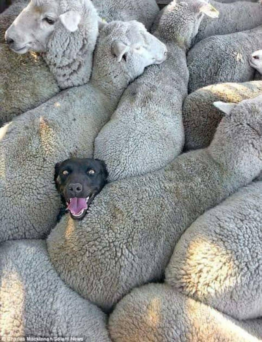 CataleyaVi tweet media