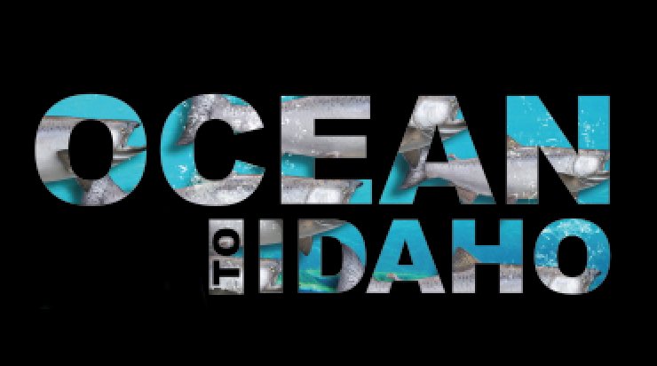 Starting now, salmon migration streaming on your screen for $8.99. tightlinemedia.com/shop/#!/Ocean-…