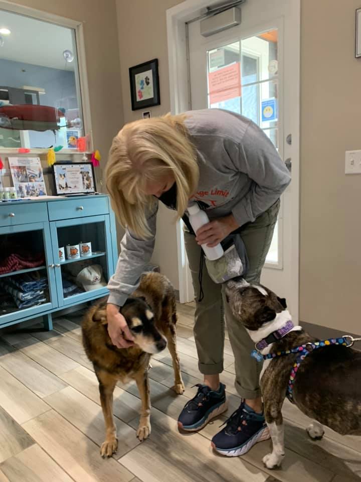 #WeLoveOurVolunteers #Grateful #Thankful 

Join us as we congratulate Wendy, our Volunteer of the Month for October.

Thank you Wendy for the endless ways you support Young at Heart and enriching the lives of our senior pets.  Congratulations! ♥️
