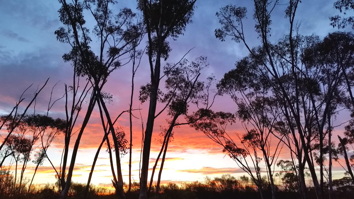 youarequeerhere's tweet photo. Delightful friends of mine are selling their desert retreat center in Western Australia. If you're interested in owning such a place or know someone who is, please check out their listing here: https://t.co/dGPg8vmuTW. https://t.co/14hytf64mF
