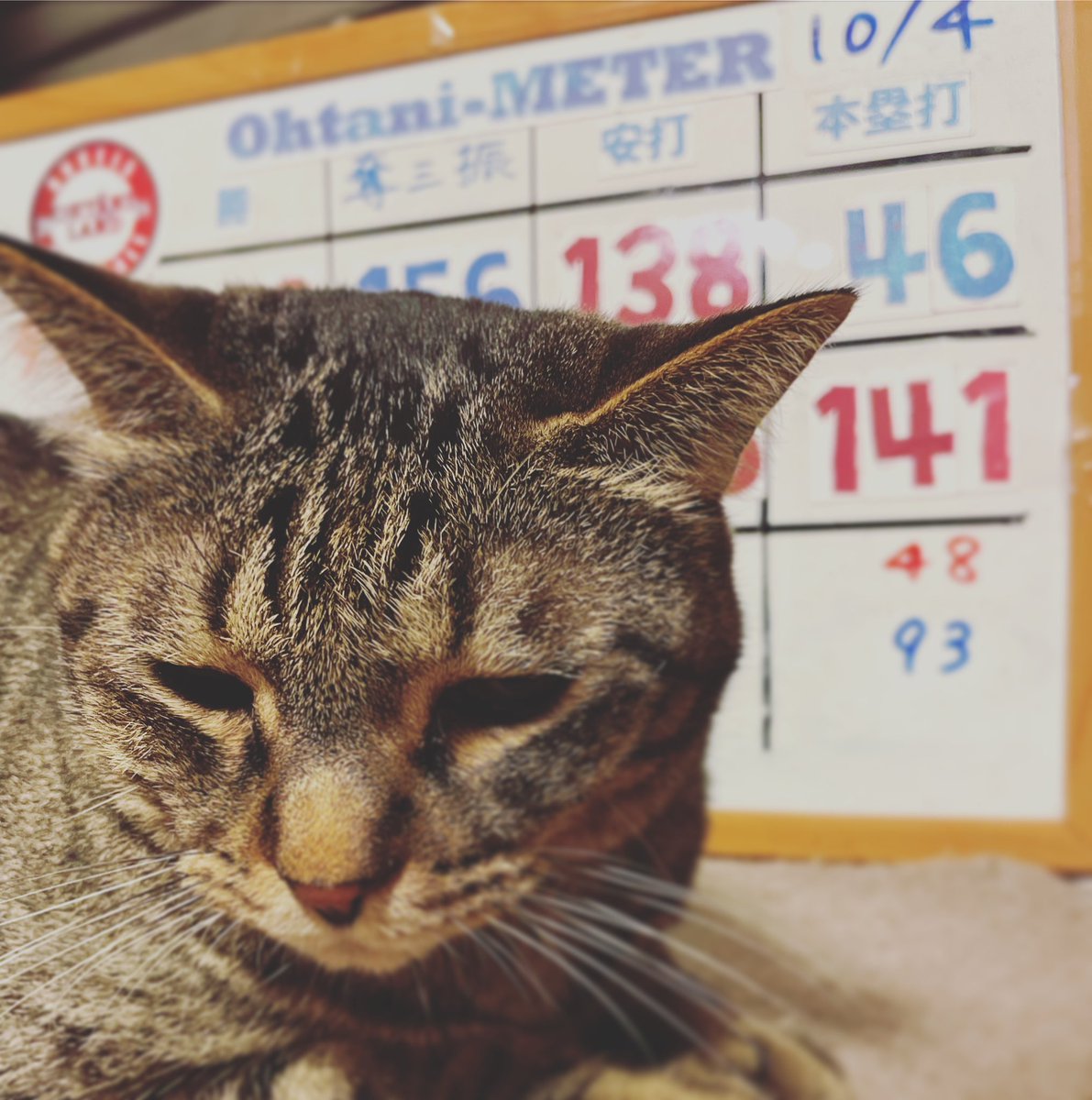 shoheimeter's tweet photo. 今季最後の更新は先頭打者HR46号!!楽しいシーズンをありがとう!!#shoheimeter #大谷メーター #大谷翔平 #OHTANILAND
https://t.co/6rXnUYPTdd https://t.co/HOJGm7iNYK