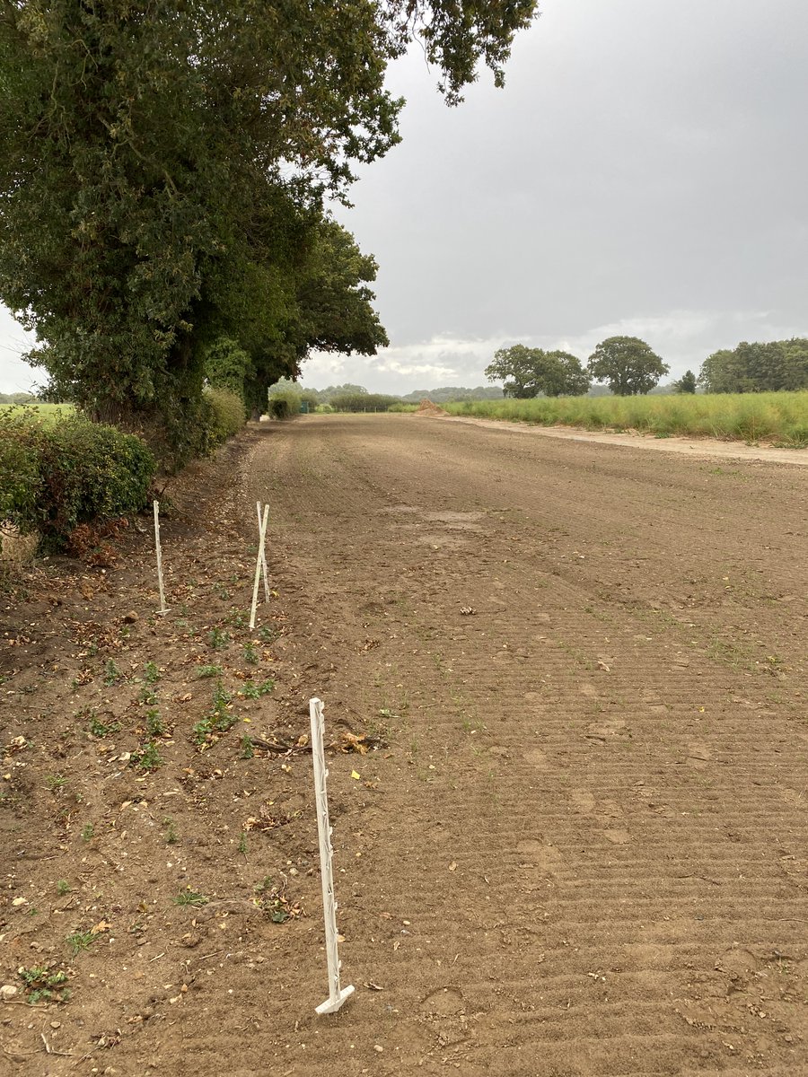 ProfKHiscock's tweet photo. Watch this space. Managed aquifer recharge (MAR) in the Red Crag on the Felixstowe Peninsula. Freshwater pumped from the King's Fleet is infiltrated via a lagoon (dry at present) into subsurface trenches. Test infiltration and recovery starts in November #FRESH4Cs @ueaenv https://t.co/wVjFj7kCOd