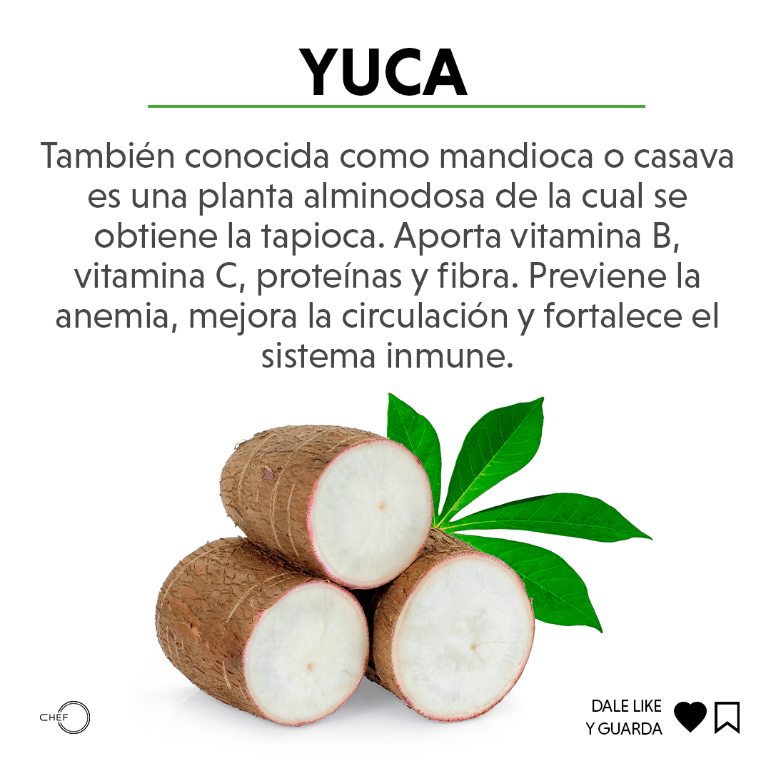 Almidón de Yuca, ¿Qué es y para qué sirve cuáles son sus beneficios?