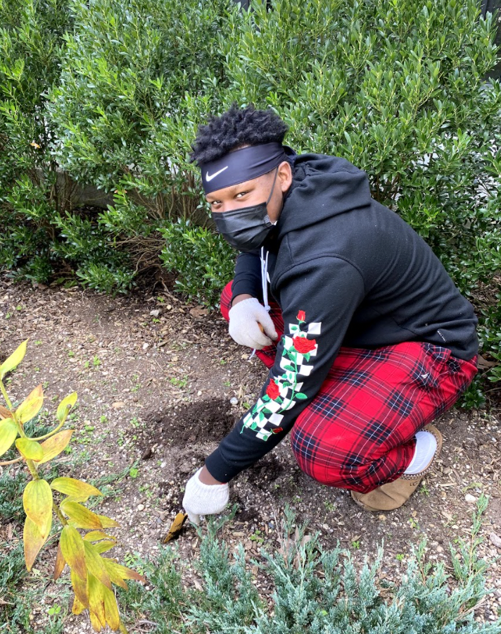 WinstonPrepLI's tweet photo. Amani planting spring tulips.
#winstonprep #wpsli #schoolgarden #gardening #education #teachdifferent #learndifferent #getoutside #privateschool #longisland https://t.co/kbjHGkT4Qa