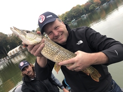 Metro Mold & Design tweet media