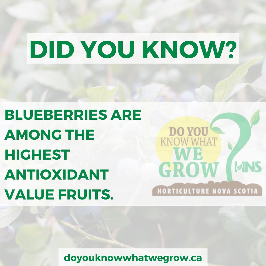 Horticulture NS (@horticulturens) on Twitter photo 