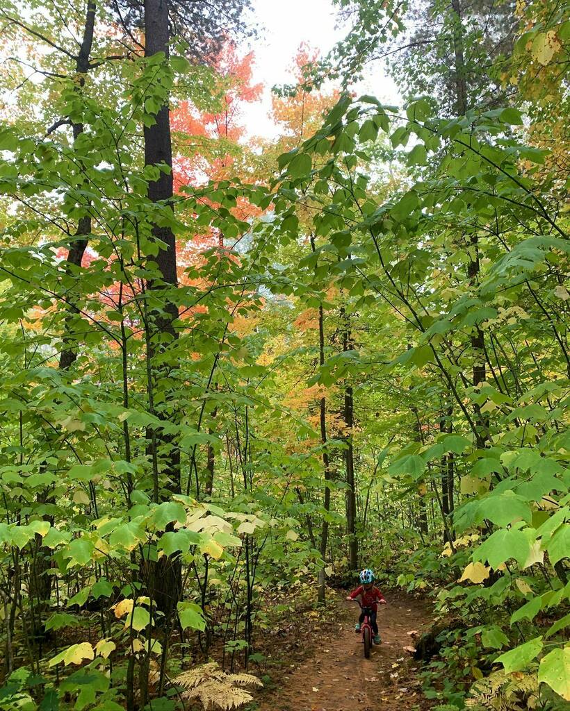Ryan_LaBar's tweet photo. Fall riding season is in full swing! #upmtb #mtb #puremichigan #upperpeninsula #travelmarquette https://t.co/OQbmWWRKDg https://t.co/ZClVSi2xR1