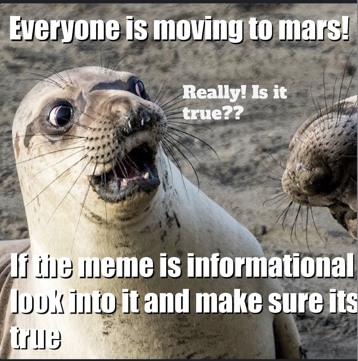 gradyryan1's tweet photo. We have been teaching students @bethel_school strategies to combat disinformation! We are using ideas from the book, Developing #digitaldectives so they can unpack things like emotionally triggering memes. Here are a couple of memes created by students π@jenniferlagarde https://t.co/ZVDexlpE9P