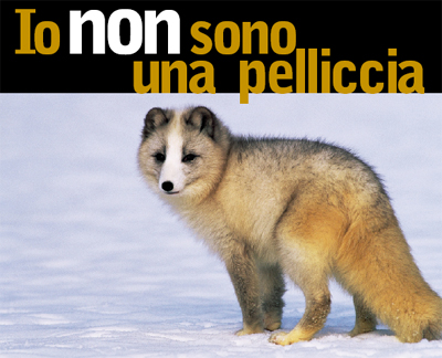 Animalistiitaly's tweet photo. Nel #WorldAnimalDay che ricorre il 4 ottobre in tutto il mondo, in coincidenza con la festa di San Francesco d’Assisi, il santo patrono degli animali, #AnimalistiItaliani scrive a @stoneisland/@Moncler  per una #modacrueltyfree
Leggi qui👉https://t.co/pbI5fA58vZ https://t.co/Pkup2SfOcv