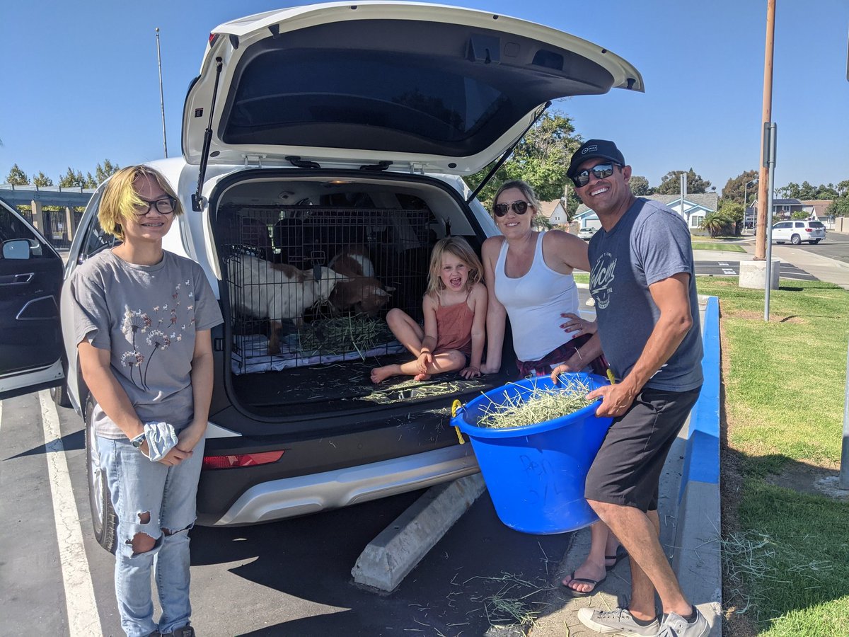 DailyDanica's tweet photo. Aster and Dandelion off with their new family! 😢♥ https://t.co/qvbPFLIUNI