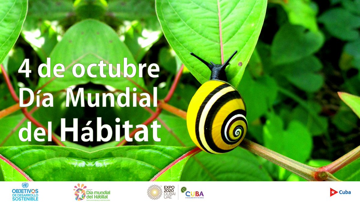 CubaExpo2020 (@cexpo2020) on Twitter photo 