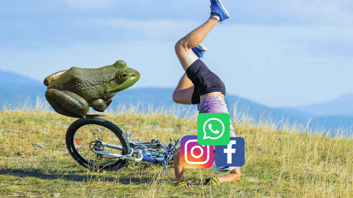 remolacha's tweet photo. Reportan caída de Facebook, Instagram y WhatsApp https://t.co/EZHiiBFnvK https://t.co/WIbVJ9xZ4f