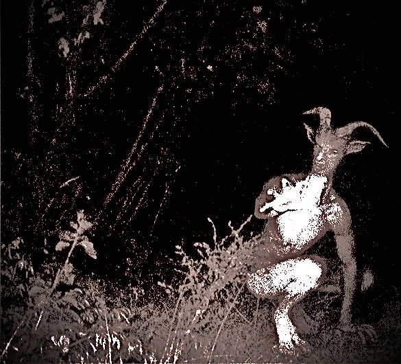 DLUTIPOD's tweet photo. We’re starting halloween off with our first of three creepypastas that are near and dear to our hearts. First is Mike’s pick: the Anansis Goatman! Listen and follow along here: https://t.co/kjQYmYaTPx #dluti #podcast #halloween #goatman #creepypasta #recordingnight #stayparanoid https://t.co/NwBpjmuzAZ