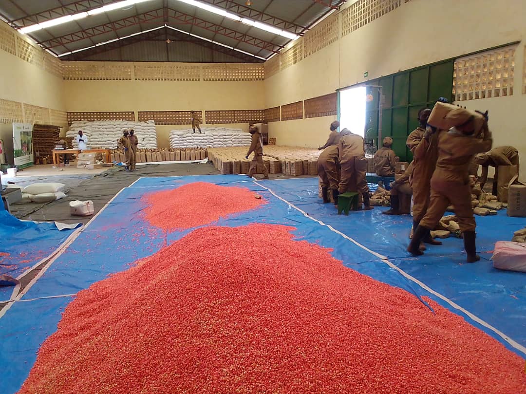 oneacrefundRW's tweet photo. Our Gabiro Seed Processing Plant started processing activities for 21B harvest in early August. 65MTs have been processed thus far. We expect to process around 900MTs by the end of September. We are on track to produce and process 2000MT this year. #RwOT #LocalSeedProduction https://t.co/mzjDMouA7V
