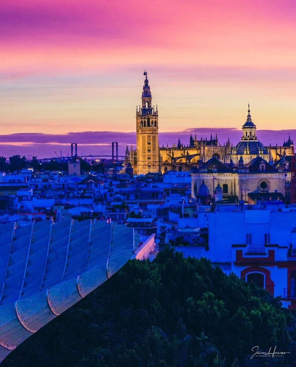 ArcoDelPostigo's tweet photo. Ahora que estáis todos en Twitter aprovecho para deciros que Sevilla es la ciudad más bonita del mundo❤️ https://t.co/Hc57IS3yJI