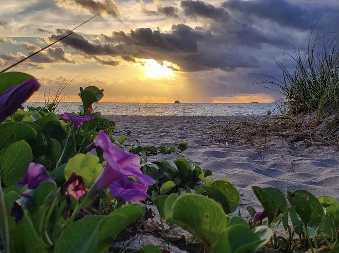 fmason3500's tweet photo. Dramatic start to a new week. Monday morning Pompano Beach view courtesy ⁦@andrighetti35⁩ https://t.co/U1fDBBWD7G