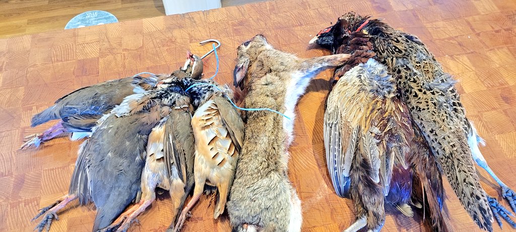 kieran lenihan 🍀 tweet media