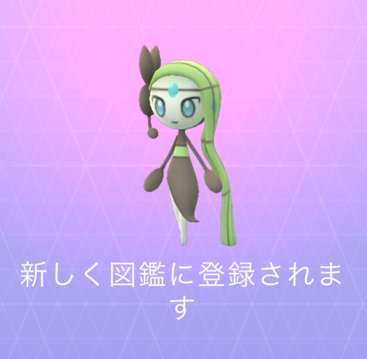 メロエッタ Twitter Search メロエッタ Twitter Search