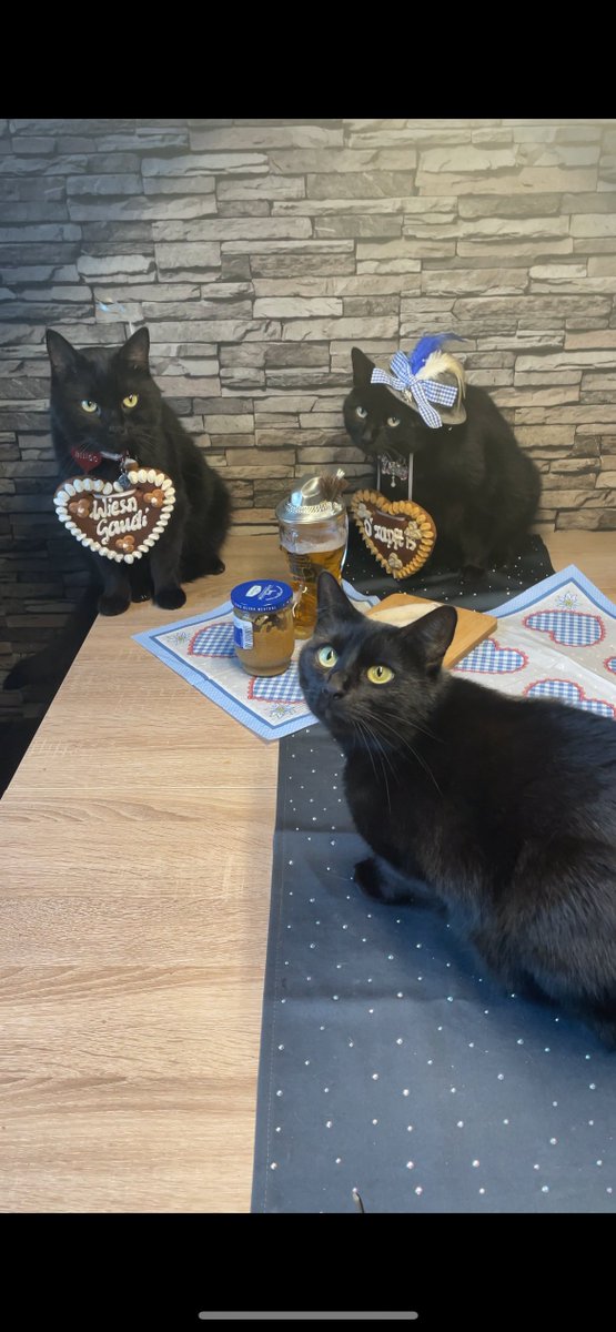 PaulMBanks's tweet photo. Working on my #MeetAGerman Day Presentation right now for #WunderbarTogether #fulbright75
Safe to say my good #Oktoberfest festive friends Horst, Bingo and Rosi, from Zwickau, will be involved.
cc @HawleySports @RickKaempfer
@fulbright_de @AATGOnline @Wunderbar2gethr https://t.co/gMh23azAlw