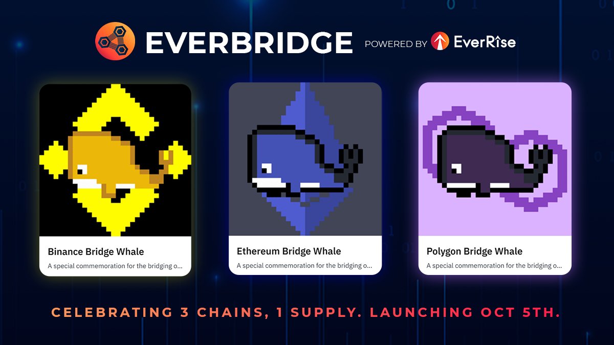 EverRise tweet media