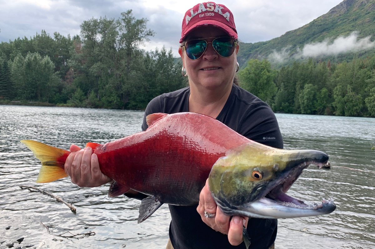 TheIGFA's tweet photo. Maria Triana recently submitted this beautiful 3.52-kilogram (7-pound, 12-ounce) sockeye salmon to potentially set the IGFA Women’s 6-kg (12 lb) Line Class Record. She landed this crimson specimen on a recent trip to Alaska while fishing in the Russian river. #fishIGFA https://t.co/9jitgIPFXD
