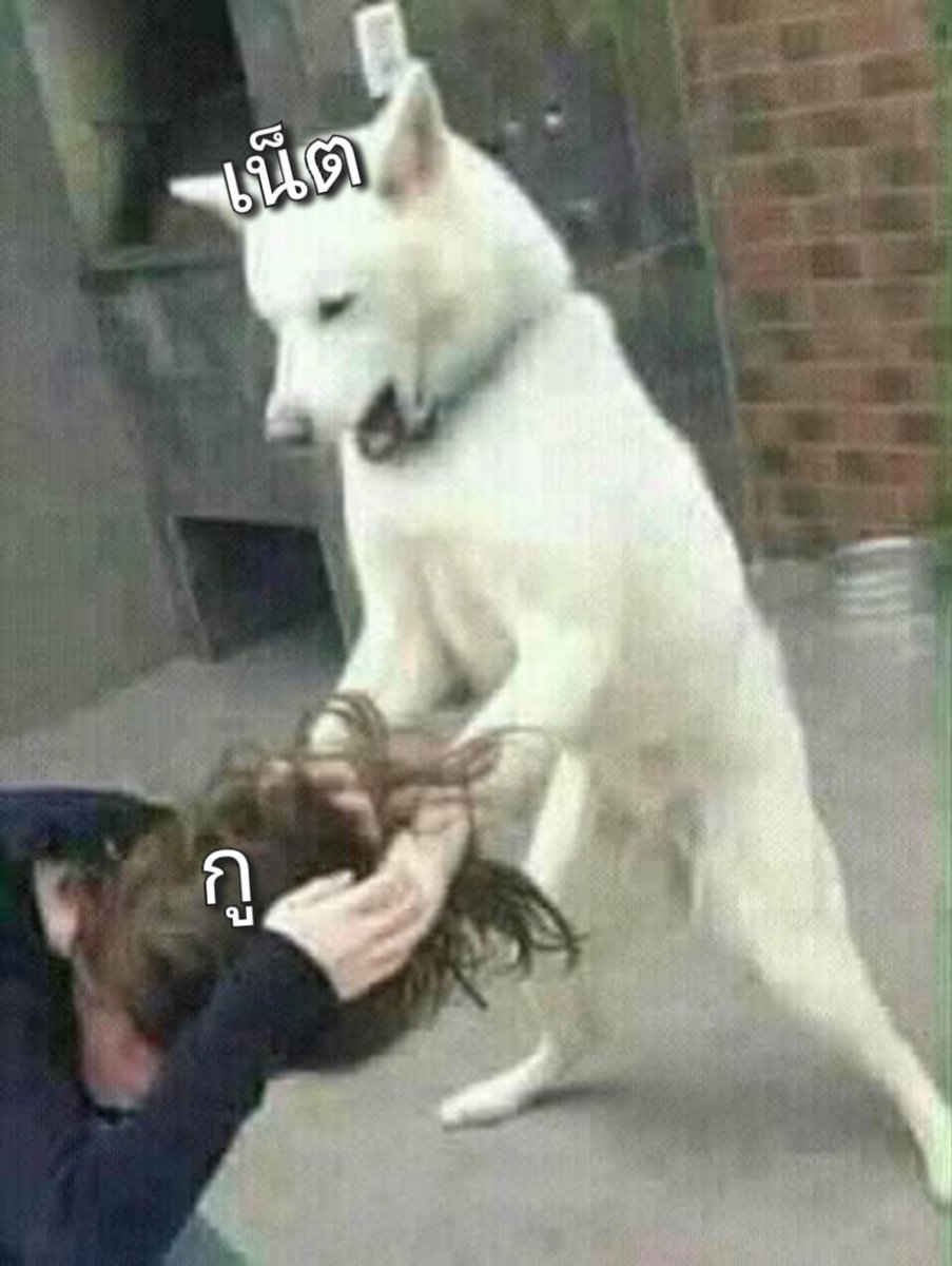 17agxin's tweet image. ขอโทษเน็ตแทบไม่ทัน #เฟสล่ม #ไอจีล่ม