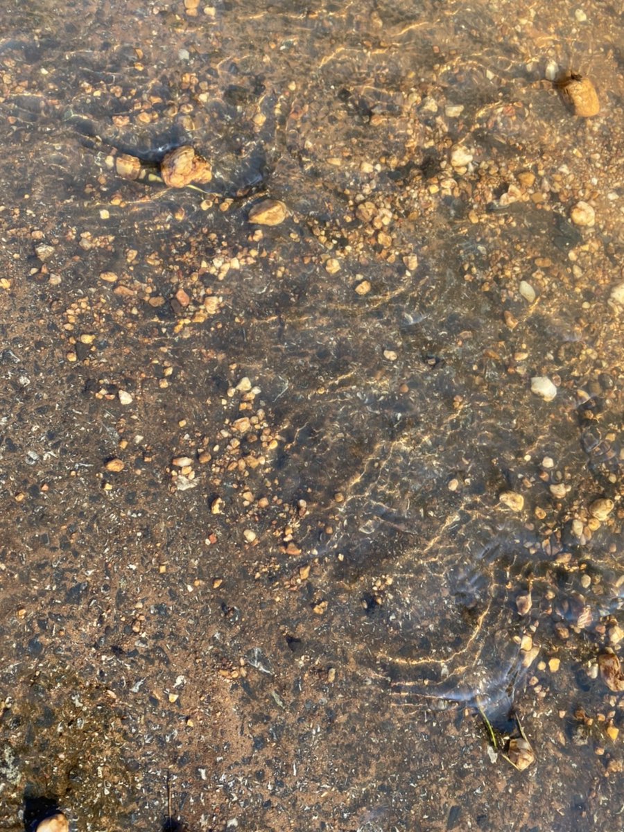 May you be happy tomorrow and grow well.  But if you don't have friends  Can we be friends? #imgxobts