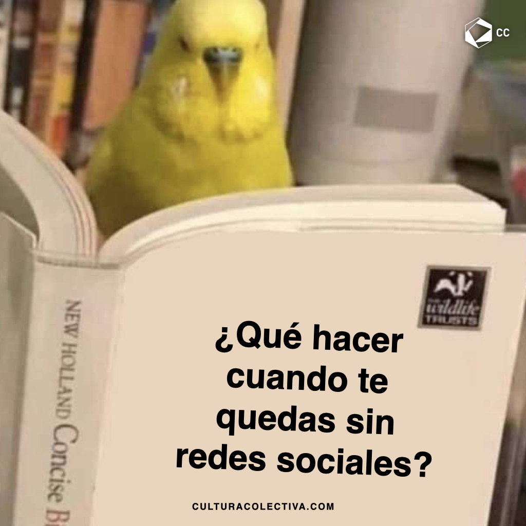Ante la caída de #WhatsApp, FB e IG, nada como leer un buen libro.