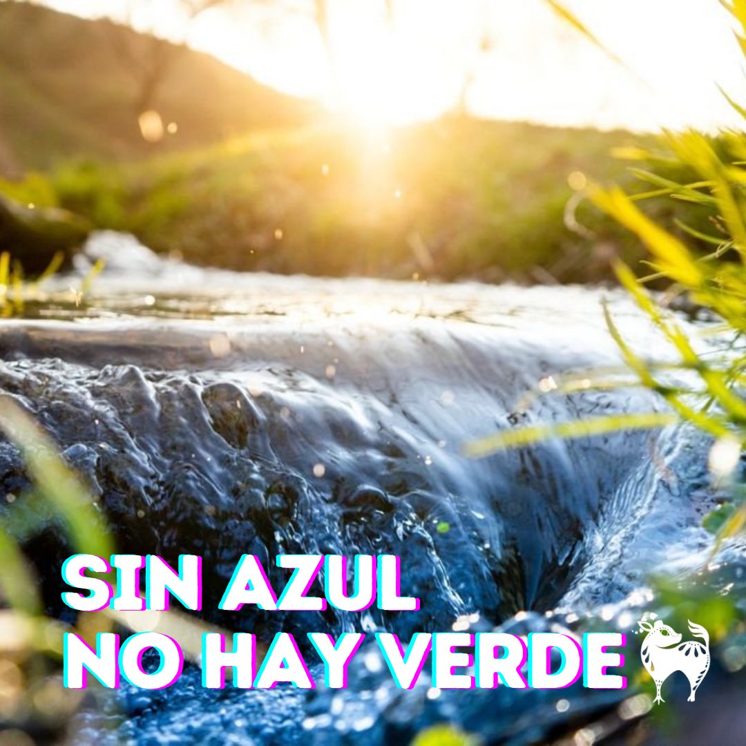 SomosLiberum's tweet photo. #sinazulnohayverde https://t.co/NPQoTSW3st