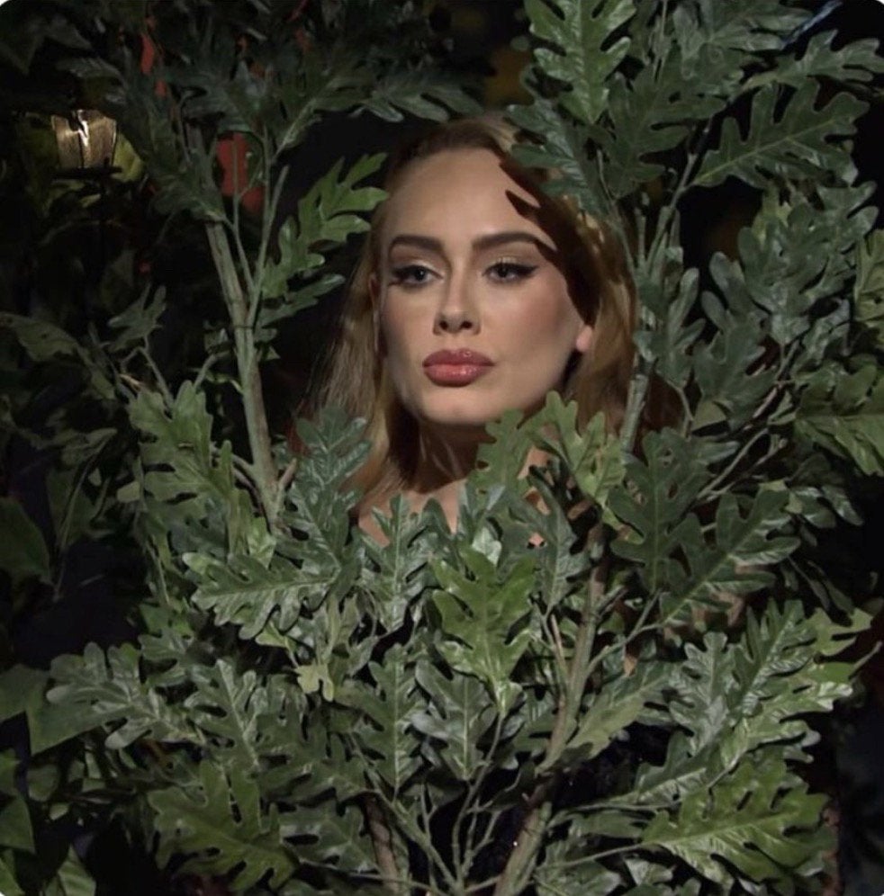 me hiding during my friend's surprise proposal... #Adele