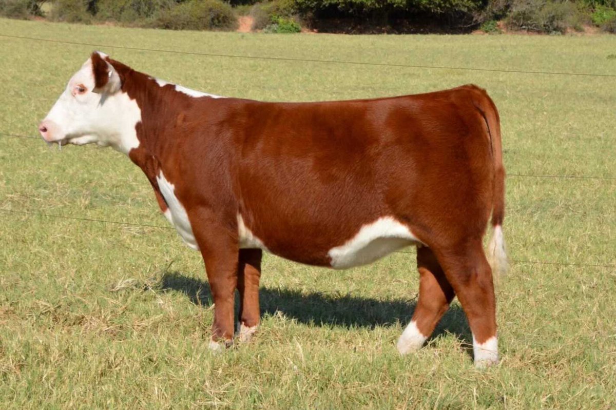 Keaton Bush tweet media