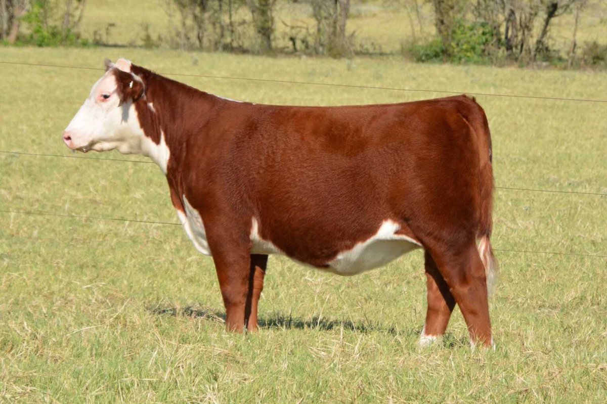 Keaton Bush tweet media