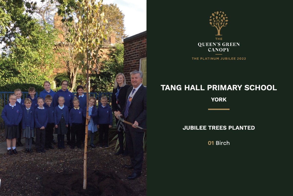 QGCanopy's tweet image. Here&apos;s one of the first of 70 schools to plant their #QGCCelebrationTree! A birch planted by @TangHallPrimary in York 🌳

The #QueensGreenCanopy is seeking to inspire young people as the future custodians of the UK&apos;s green spaces, forests and #woodlands 🌳