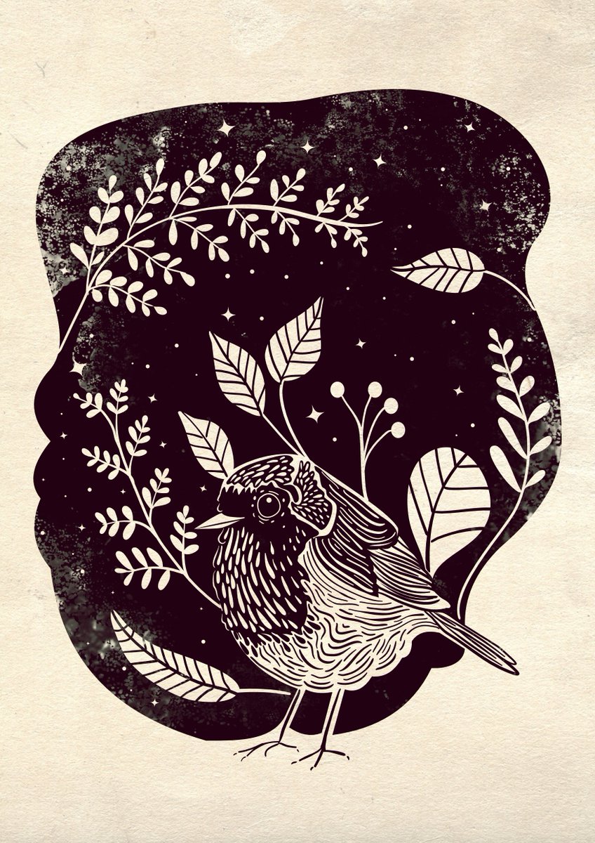 "That Robin in the garden was me"  #illustration #bird #robin #Ink #lovedone behance.net/gallery/128664…