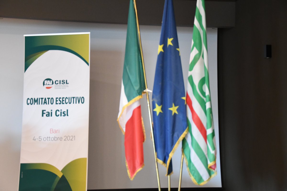 fai_cisl's tweet photo. Dopo la relazione del Segr.Gen. @OnofrioRota, in corso il dibattito e il confronto del comitato esecutivo nazionale della #FaiCisl, per affrontare i temi sensibili per la federazione #agroalimentare della #Cisl, impegnata nel percorso congressuale. https://t.co/Dt458uIs1P
