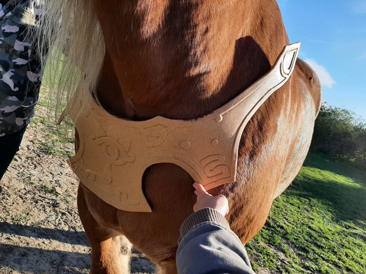 chaozrael's tweet photo. Look at our real MVP here... letting me do all this shit and not caring at all. 
:) also unofficial announcement for the new project! I'm making zelda botw horse armor!!
#loz #zelda #botw #cosplay https://t.co/kVzjyCqJQk