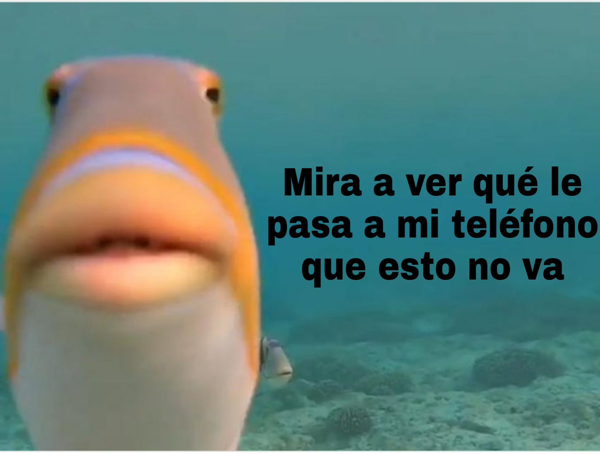 raulschalke7's tweet photo. Se cae WhatsApp
Mi madre a los 0.05 segundos: https://t.co/cqCo37CyTT