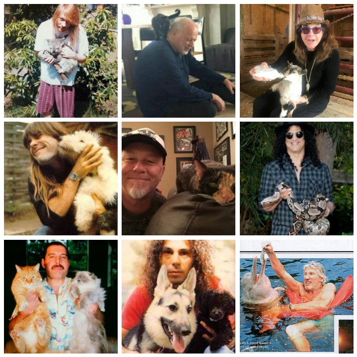 World Animals Day #diadosanimais #WorldAnimalsDay