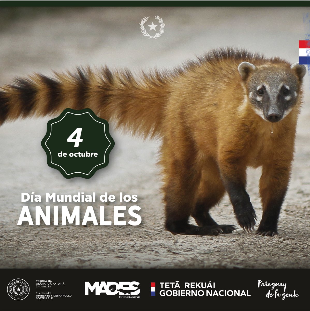 mambiente_py's tweet photo. 04 de Octubre "Día Mundial de los Animales" https://t.co/UNVeIMoce2