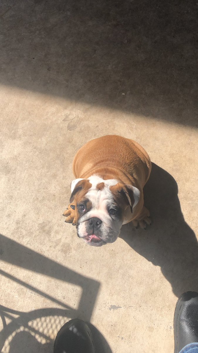 scott_stradtner's tweet photo. #meatloaf#beefcake https://t.co/Zt8xHrS58x