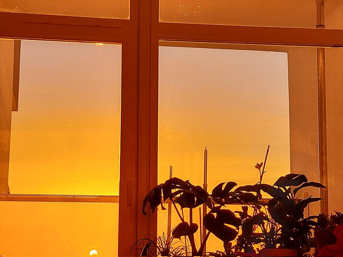 AIWS6's tweet image. Ragis of @beaglefreedom is obviously destined to watch sunset every evening  from now on 💛🐕
#CrueltyFree #AdoptDontShop #beagle #sunset