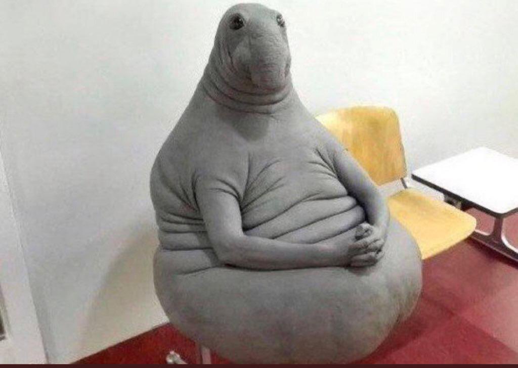 #WhatsApp #instagram #çöktü 

Telefonu şarja takıp oturma odasına ailemle tanışmaya gittim