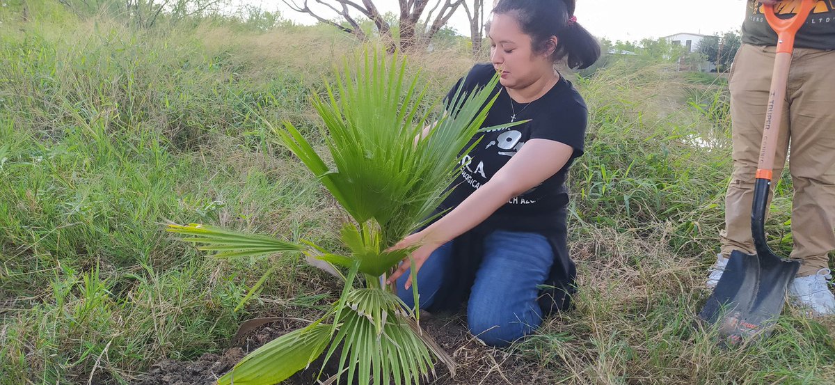 ERA_Azcatl's tweet photo. Ayer tuvimos la fortuna de participar en la jornada de limpieza y reforestación de la Laguna Benito Juárez organizada por #CONIBIO. Agradecemos @eliasibarra por la invitación a participar en su proyecto y al alcalde Héctor Villegas #ElCalabazo por su apoyo. Nos vemos en noviembre https://t.co/rf91uLsQPB