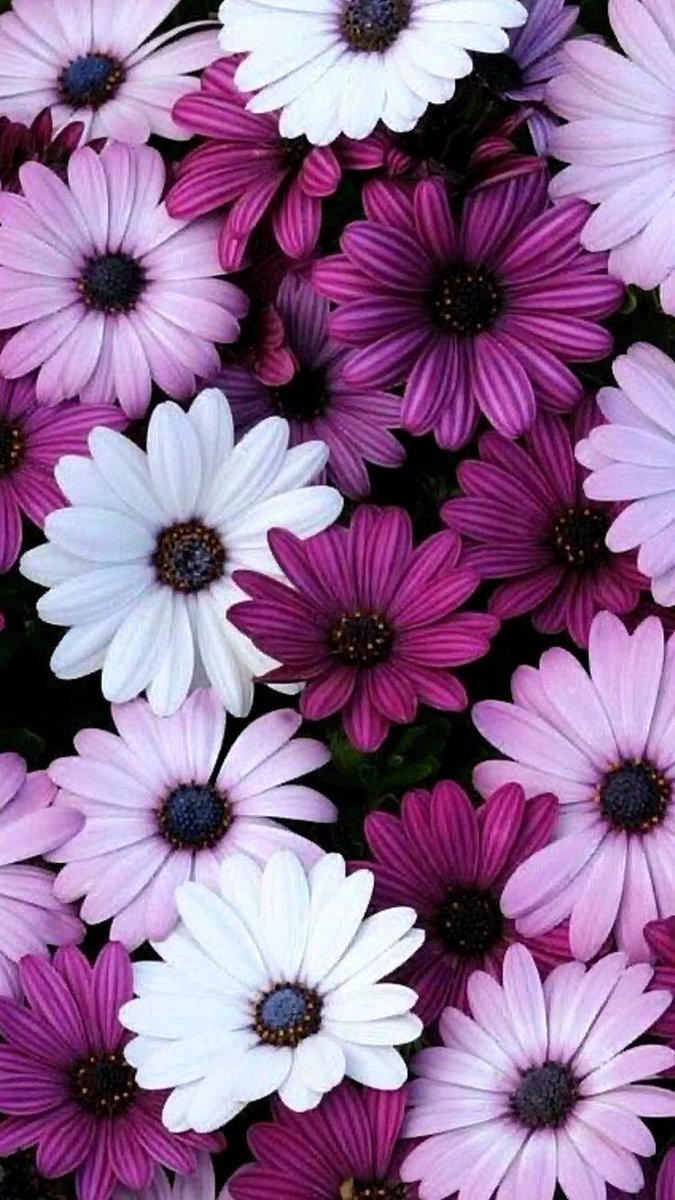 h____yh's tweet photo. @1ji_2 @sji_2 @Qr3i_ @ViP74hA @JhzFda @2Star3D @3drsi @0f_1_ @1drsi @aa1ji @Dr_R3m @Tahkn8 @qe_lng @ho88_sh @No_di_2 @GANRLo @hath2012 @kamanji_1 @kjjj__77 @lYorX @12m__3 جزاك الله خيراً https://t.co/PDs4KNqr4u
