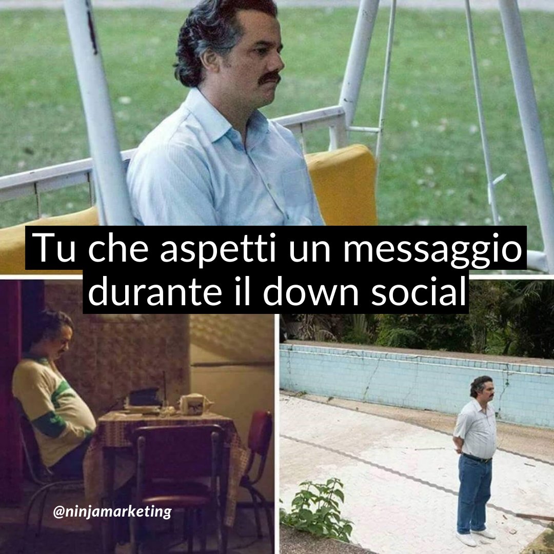 Ninja Business School tweet media